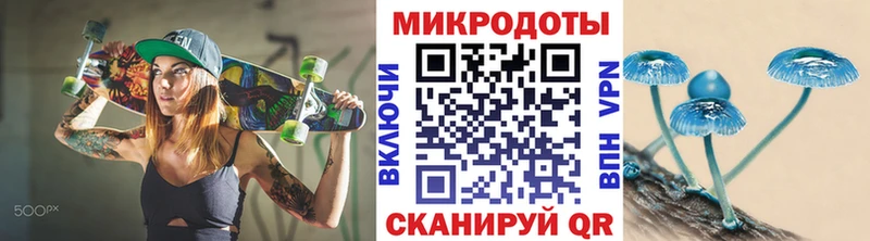 блэк спрут ТОР  Малмыж  Галлюциногенные грибы MAGIC MUSHROOMS  где купить  